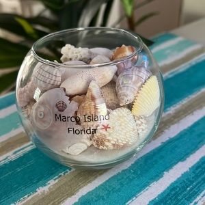 Glass Seashell Bowl-Marco Island